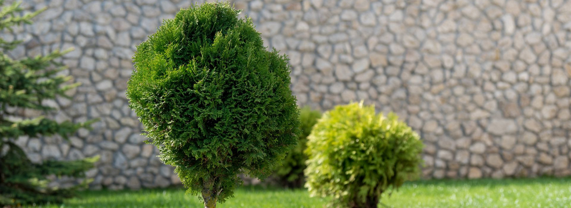 fűnyírás, fűkaszálás, sövénynyírás, favágás, ágdaralás